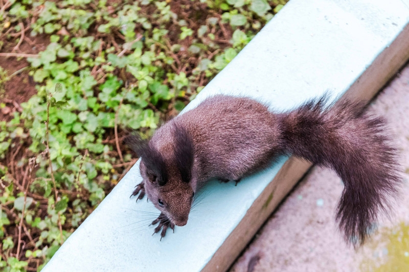 广东最适合亲子游的好去处，四处都是卡通人物，动漫爱好者的天堂休闲区蓝鸢梦想 - Www.slyday.coM