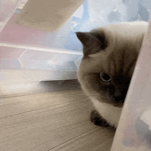 表情包 | ***优美的中国话输出 拿图点赞,吱声