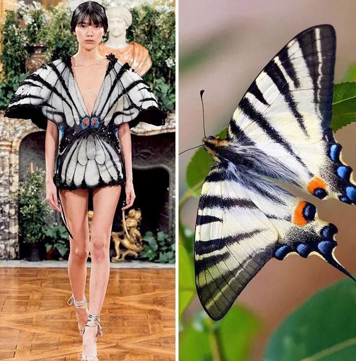 把蘑菇穿在身上，设计师以大自然为灵感，创作的时装太特别了休闲区蓝鸢梦想 - Www.slyday.coM