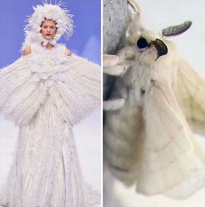 把蘑菇穿在身上，设计师以大自然为灵感，创作的时装太特别了休闲区蓝鸢梦想 - Www.slyday.coM