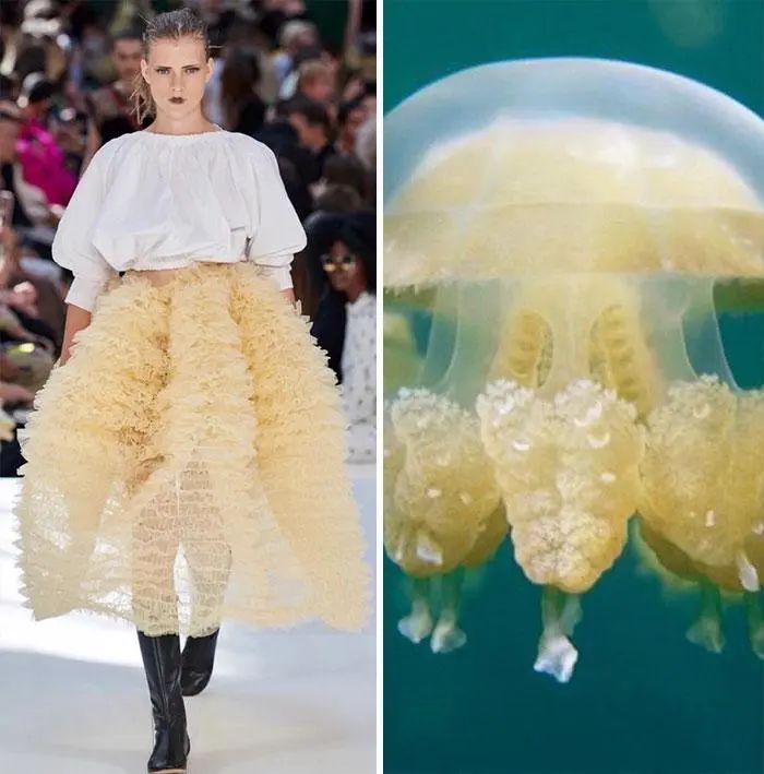 把蘑菇穿在身上，设计师以大自然为灵感，创作的时装太特别了休闲区蓝鸢梦想 - Www.slyday.coM