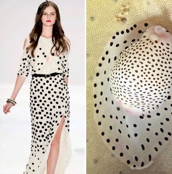 把蘑菇穿在身上，设计师以大自然为灵感，创作的时装太特别了休闲区蓝鸢梦想 - Www.slyday.coM