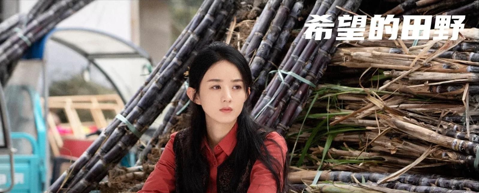 瞪眼演技，剧情别扭？赵丽颖新剧《幸福到万家》还没开播就被尬黑休闲区蓝鸢梦想 - Www.slyday.coM