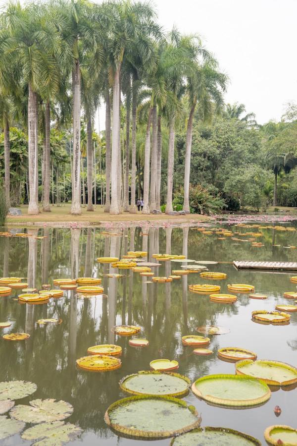 中国最值得打卡的植物园,景色一级棒,赶紧来看看休闲区蓝鸢梦想 - Www.slyday.coM 中国最值得打卡的植物园,景色一级棒,赶紧来看看休闲区蓝鸢梦想 - Www.slyday.coM