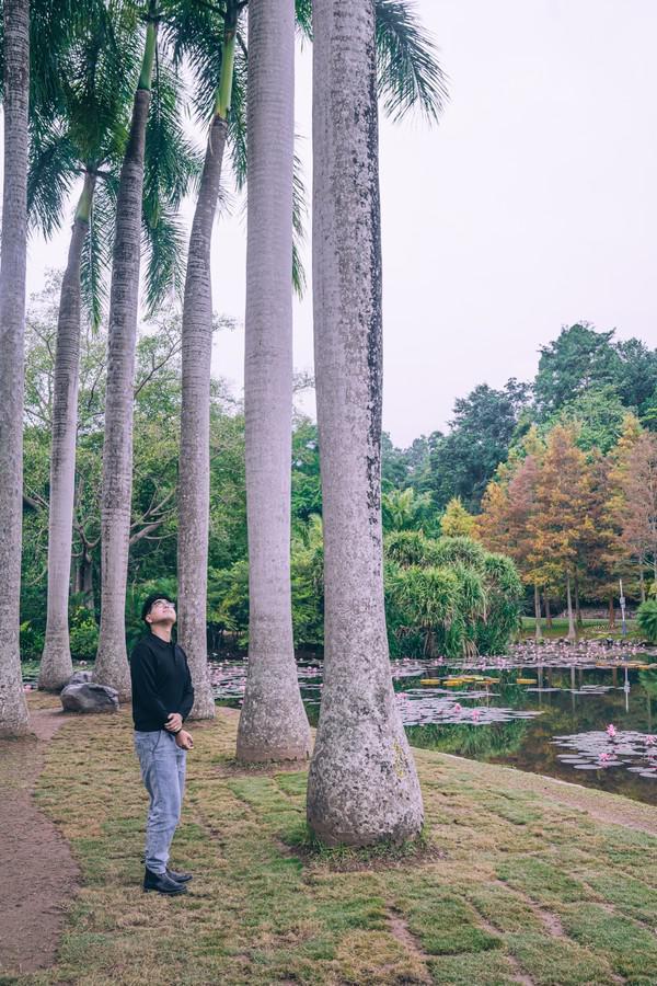 中国最值得打卡的植物园,景色一级棒,赶紧来看看休闲区蓝鸢梦想 - Www.slyday.coM 中国最值得打卡的植物园,景色一级棒,赶紧来看看休闲区蓝鸢梦想 - Www.slyday.coM