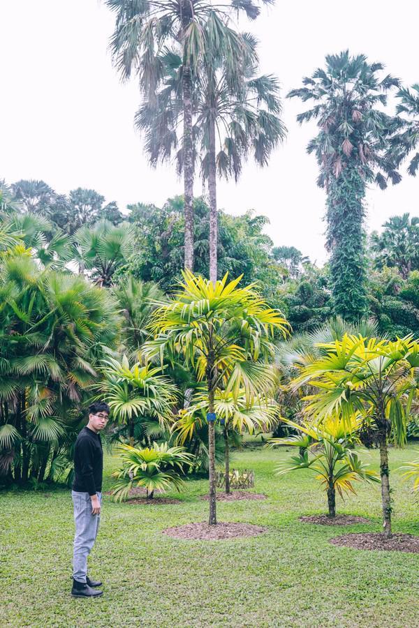 中国最值得打卡的植物园,景色一级棒,赶紧来看看休闲区蓝鸢梦想 - Www.slyday.coM 中国最值得打卡的植物园,景色一级棒,赶紧来看看休闲区蓝鸢梦想 - Www.slyday.coM