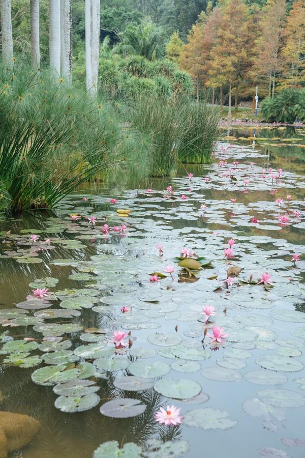 中国最值得打卡的植物园,景色一级棒,赶紧来看看休闲区蓝鸢梦想 - Www.slyday.coM 中国最值得打卡的植物园,景色一级棒,赶紧来看看休闲区蓝鸢梦想 - Www.slyday.coM