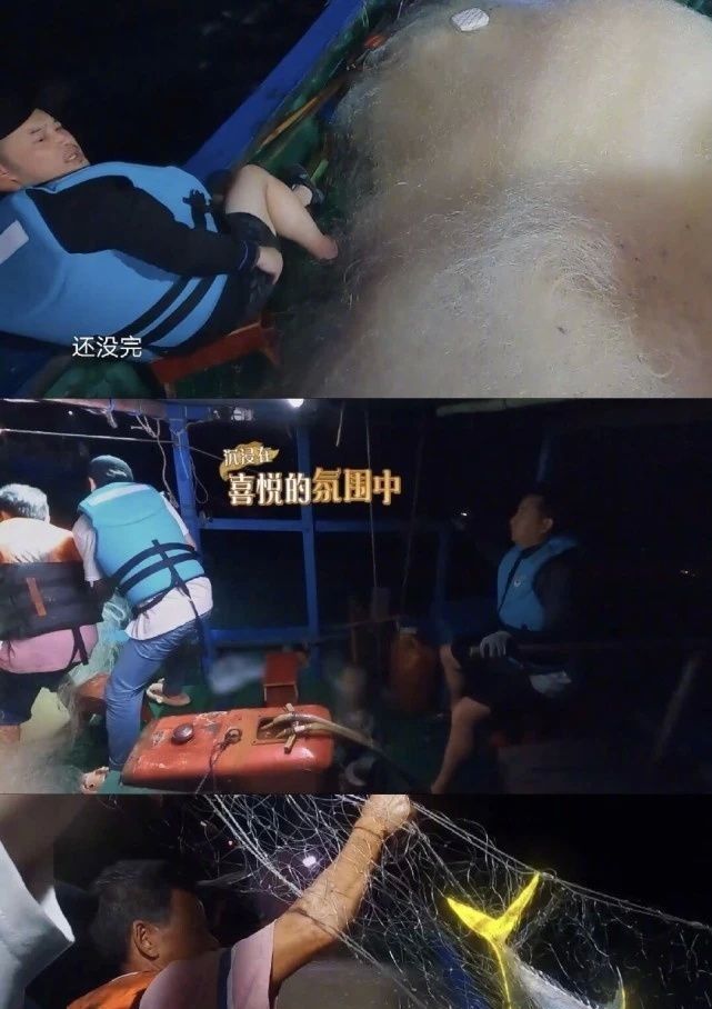 向往的生活被猜测用的是道具鱼,来看看你觉得像吗?休闲区蓝鸢梦想 - Www.slyday.coM 向往的生活被猜测用的是道具鱼,来看看你觉得像吗?休闲区蓝鸢梦想 - Www.slyday.coM