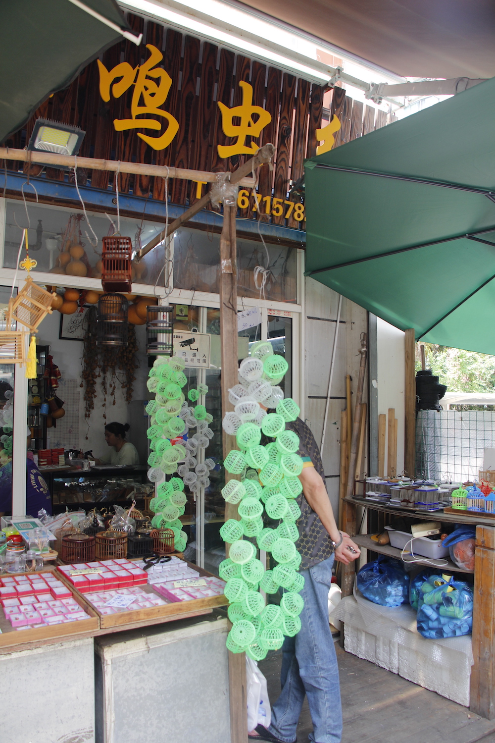 上海小店复工记岚灵花鸟市场正在等待爱花爱宠人回归