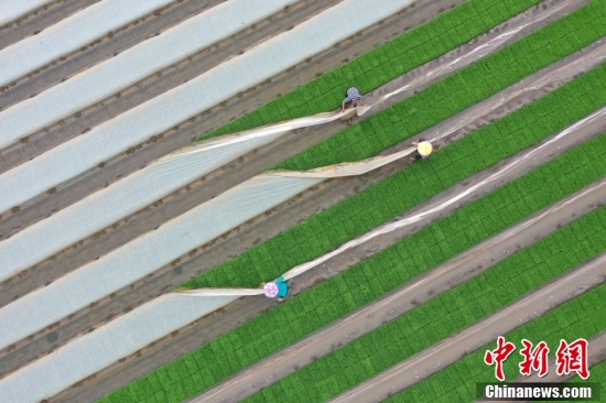 【全国土地日特刊】被这样的农耕画面治愈了！休闲区蓝鸢梦想 - Www.slyday.coM