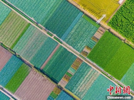 【全国土地日特刊】被这样的农耕画面治愈了！休闲区蓝鸢梦想 - Www.slyday.coM