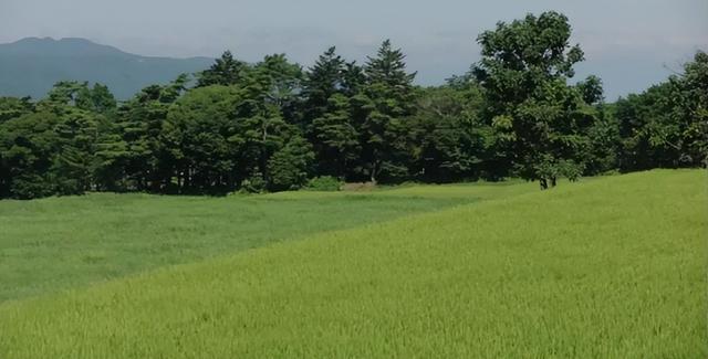 每集20分钟，却治愈了我的一生休闲区蓝鸢梦想 - Www.slyday.coM