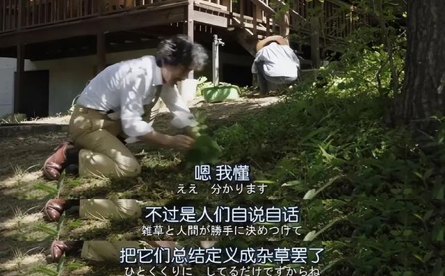 每集20分钟，却治愈了我的一生休闲区蓝鸢梦想 - Www.slyday.coM