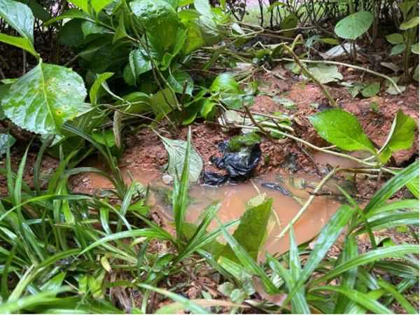 3岁男童从17楼坠落！监控曝光，疑点重重！休闲区蓝鸢梦想 - Www.slyday.coM