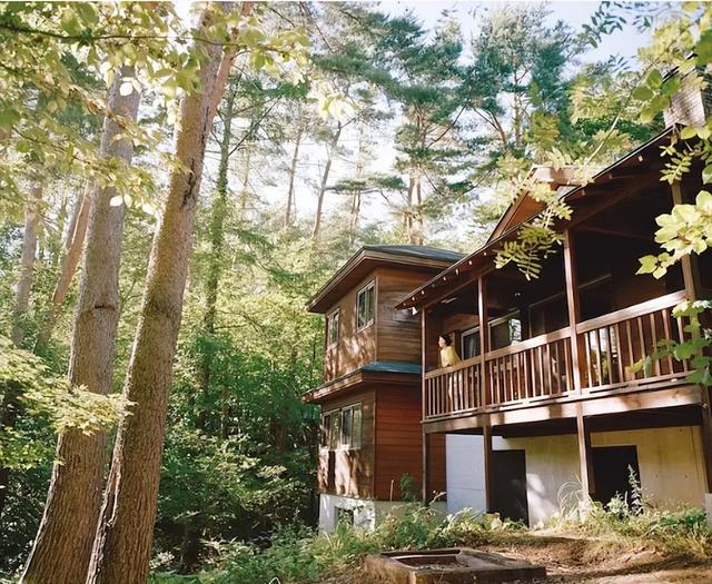 每集20分钟，却治愈了我的一生休闲区蓝鸢梦想 - Www.slyday.coM