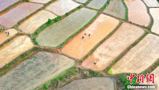 【全国土地日特刊】被这样的农耕画面治愈了！休闲区蓝鸢梦想 - Www.slyday.coM