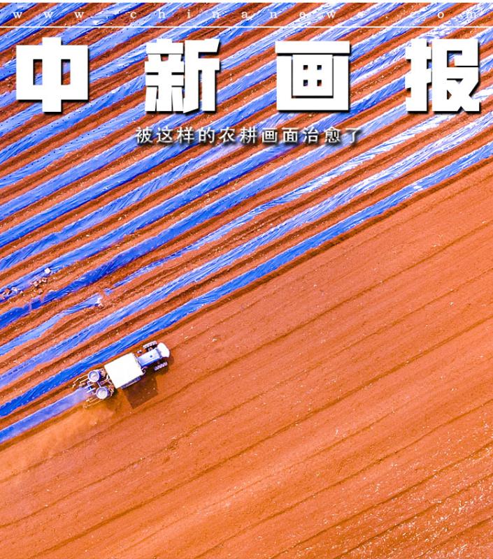 【全国土地日特刊】被这样的农耕画面治愈了！休闲区蓝鸢梦想 - Www.slyday.coM