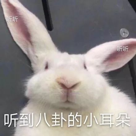 很久没见过这么油腻的女明星了休闲区蓝鸢梦想 - Www.slyday.coM