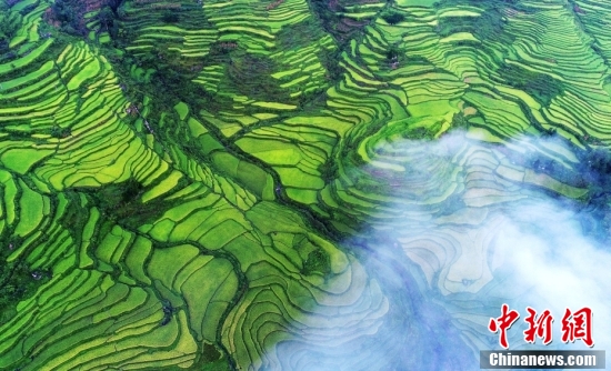 【全国土地日特刊】被这样的农耕画面治愈了！休闲区蓝鸢梦想 - Www.slyday.coM