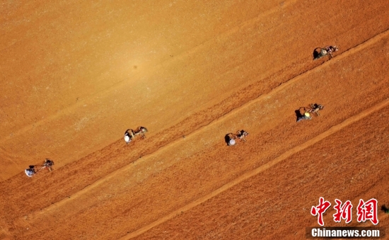 【全国土地日特刊】被这样的农耕画面治愈了！休闲区蓝鸢梦想 - Www.slyday.coM