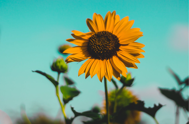 柳岩说姐弟恋根本不是问题:年龄,会成为追爱的阻碍吗?休闲区蓝鸢梦想 - Www.slyday.coM 柳岩说姐弟恋根本不是问题:年龄,会成为追爱的阻碍吗?休闲区蓝鸢梦想 - Www.slyday.coM