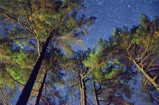 黄山云海看过的都值了,绝对让你感动休闲区蓝鸢梦想 - Www.slyday.coM 黄山云海看过的都值了,绝对让你感动休闲区蓝鸢梦想 - Www.slyday.coM