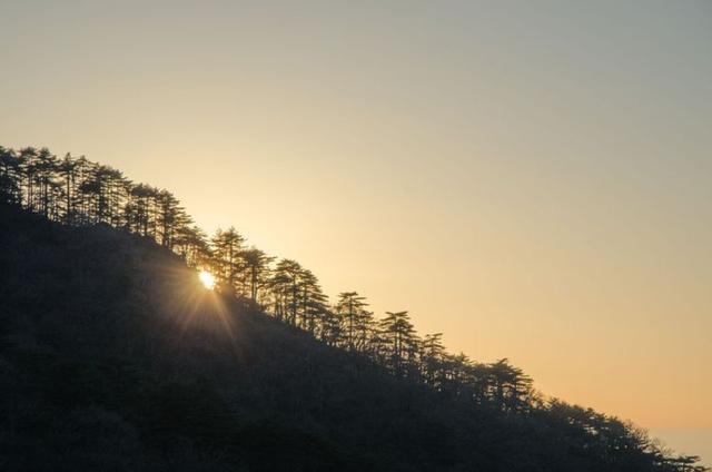 黄山云海看过的都值了,绝对让你感动休闲区蓝鸢梦想 - Www.slyday.coM 黄山云海看过的都值了,绝对让你感动休闲区蓝鸢梦想 - Www.slyday.coM
