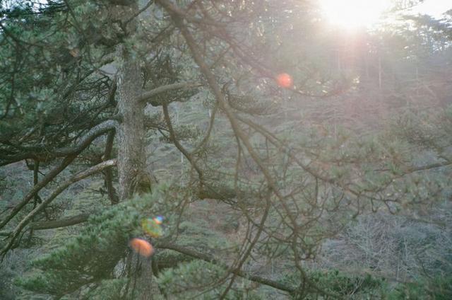 黄山云海看过的都值了,绝对让你感动休闲区蓝鸢梦想 - Www.slyday.coM 黄山云海看过的都值了,绝对让你感动休闲区蓝鸢梦想 - Www.slyday.coM