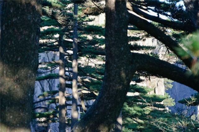 黄山云海看过的都值了,绝对让你感动休闲区蓝鸢梦想 - Www.slyday.coM 黄山云海看过的都值了,绝对让你感动休闲区蓝鸢梦想 - Www.slyday.coM