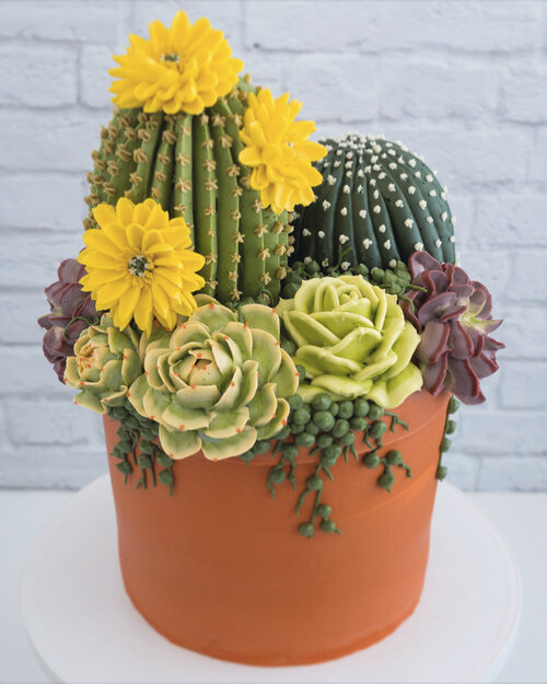 她“种”的仙人球,能连盆一起吃,知道真相后都不敢挑战休闲区蓝鸢梦想 - Www.slyday.coM 她“种”的仙人球,能连盆一起吃,知道真相后都不敢挑战休闲区蓝鸢梦想 - Www.slyday.coM