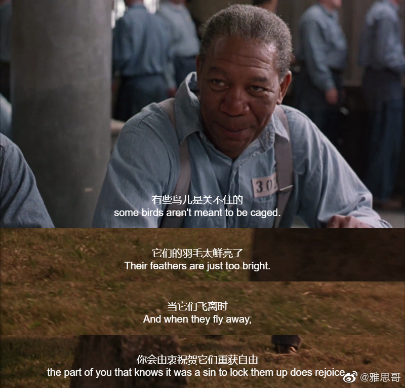 有些鸟儿是关不住的 some birds arent meant to be caged