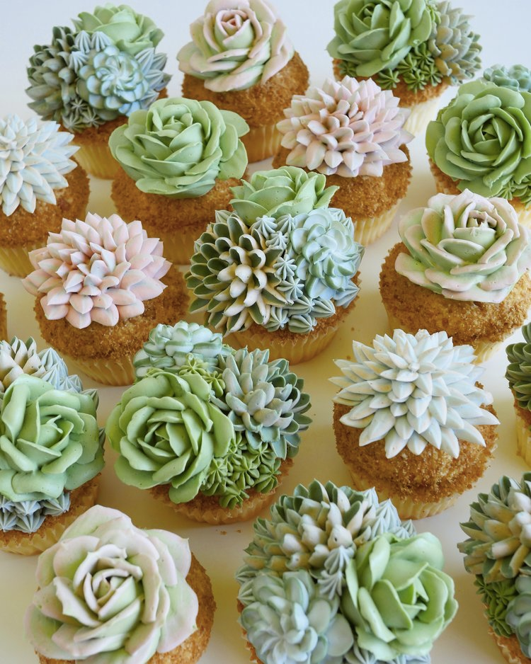 她“种”的仙人球,能连盆一起吃,知道真相后都不敢挑战休闲区蓝鸢梦想 - Www.slyday.coM 她“种”的仙人球,能连盆一起吃,知道真相后都不敢挑战休闲区蓝鸢梦想 - Www.slyday.coM