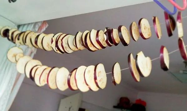 教你晒茄干的正确做法，牢记2步，洁白不发黑，想吃就拿，放一年都不坏！炖肉最香了！休闲区蓝鸢梦想 - Www.slyday.coM