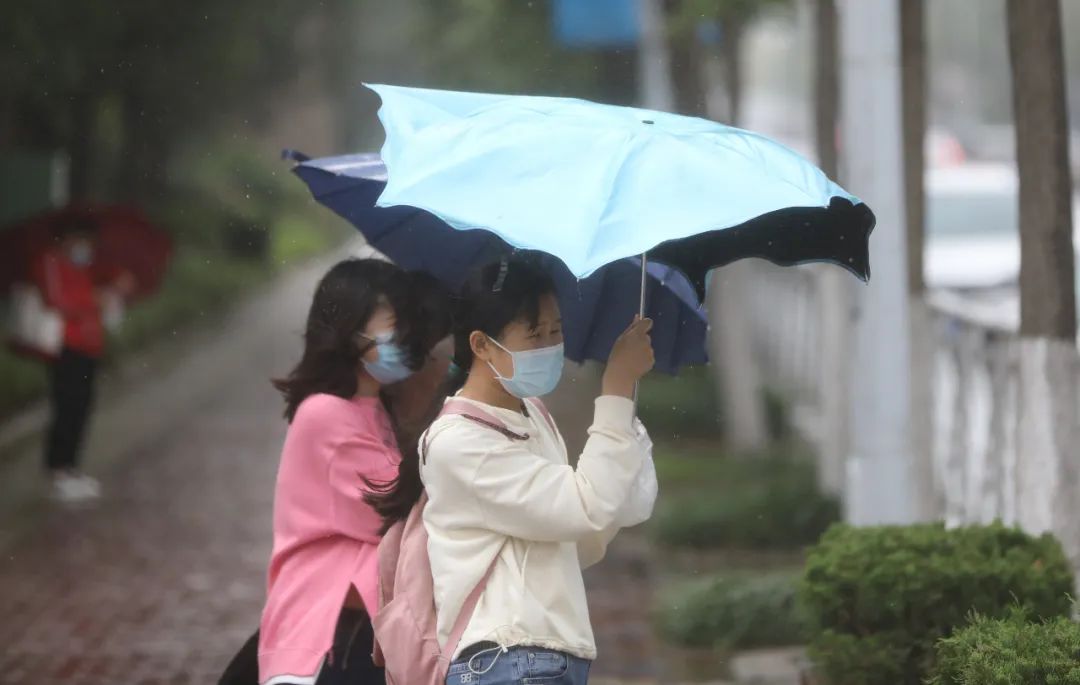 紧急提醒！青岛马上来暴雨…局部大暴雨，阵风10级！不说别的，预警图上那一抹红…先把我吓到了休闲区蓝鸢梦想 - Www.slyday.coM
