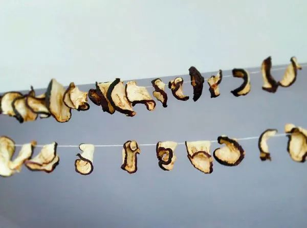 教你晒茄干的正确做法，牢记2步，洁白不发黑，想吃就拿，放一年都不坏！炖肉最香了！休闲区蓝鸢梦想 - Www.slyday.coM