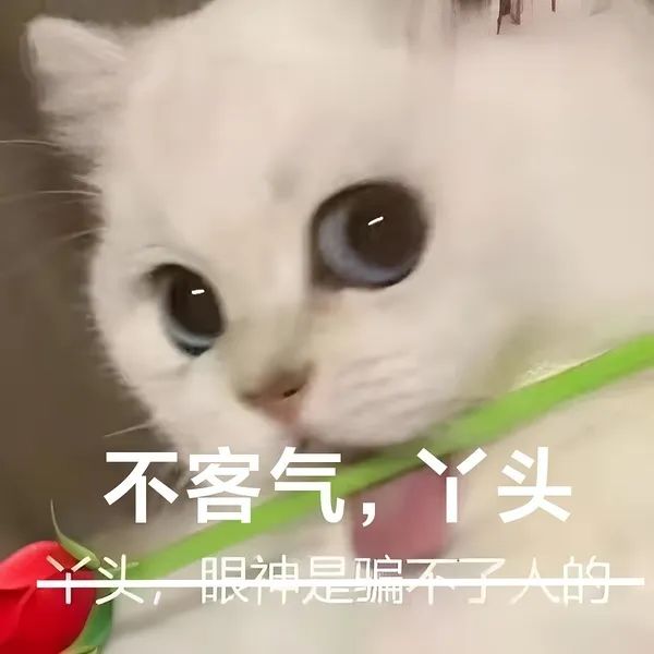 “明星高考25分是什么体验？”哈哈哈哈网友吐槽笑的我想死！！休闲区蓝鸢梦想 - Www.slyday.coM