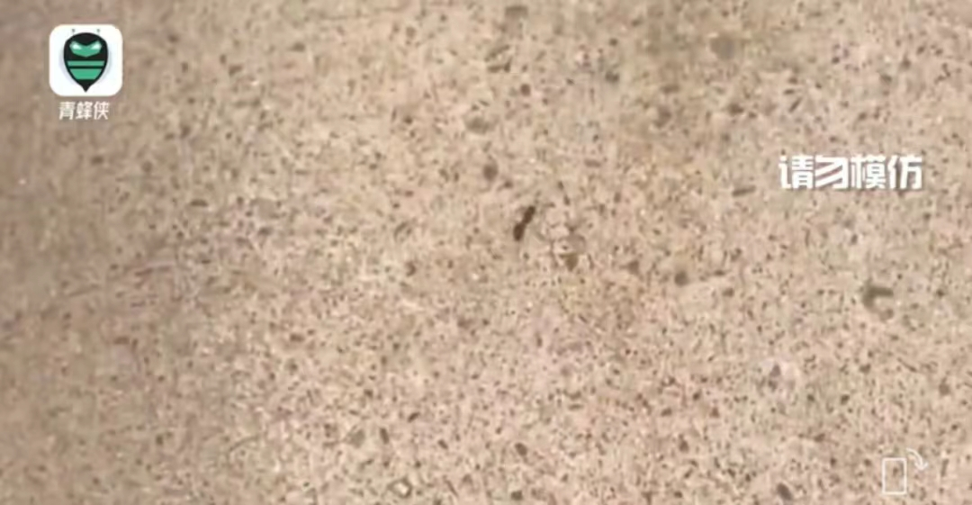 “玻璃热炸了，蚂蚁落地活不过3秒”！这里地表最高超74℃！高温席卷20余省份→休闲区蓝鸢梦想 - Www.slyday.coM