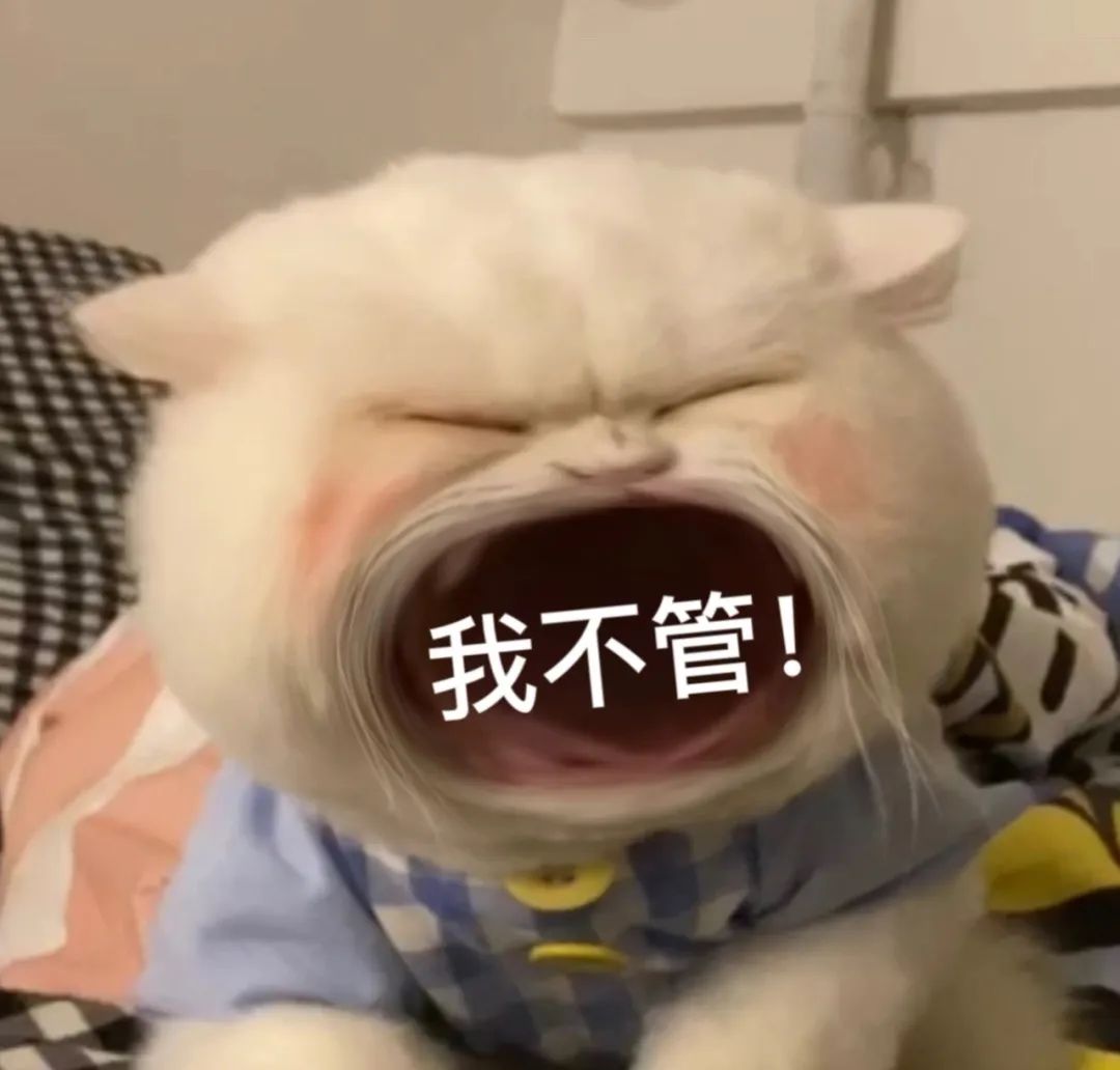 没拴绳狗子将猫咪逼到角落瑟瑟发抖,对于放纵的主人,一张贴图大快人心.....休闲区蓝鸢梦想 - Www.slyday.coM