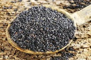 这种食物营养价值高，钙含量是牛奶的七八倍！可惜很多人都没吃对…休闲区蓝鸢梦想 - Www.slyday.coM