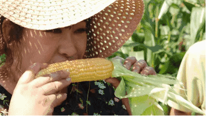 董宇辉卖玉米，凭什么6元一根？休闲区蓝鸢梦想 - Www.slyday.coM