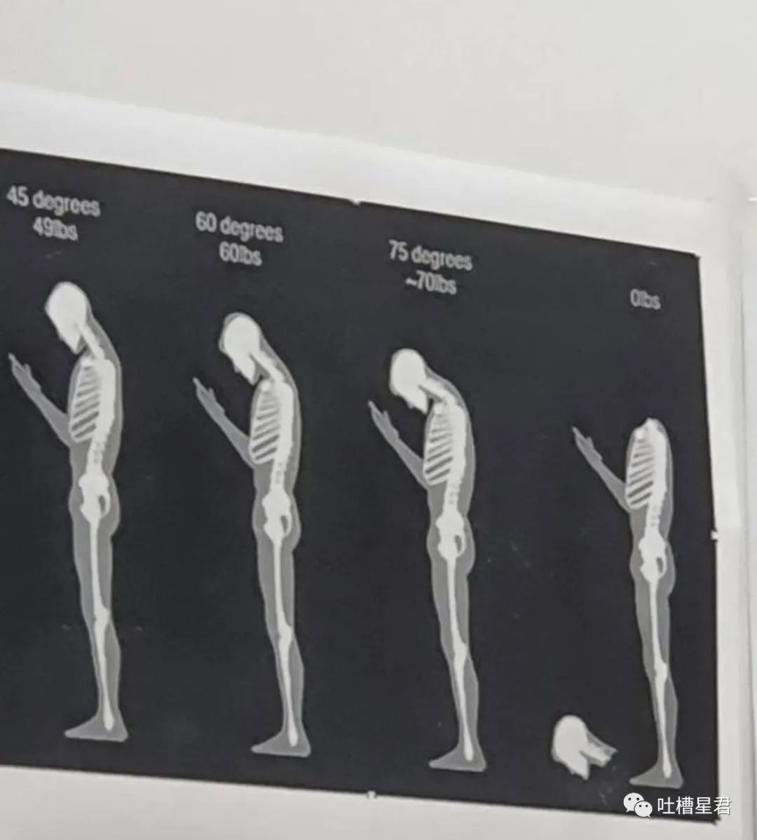 “明星高考25分是什么体验？”哈哈哈哈网友吐槽笑的我想死！！休闲区蓝鸢梦想 - Www.slyday.coM