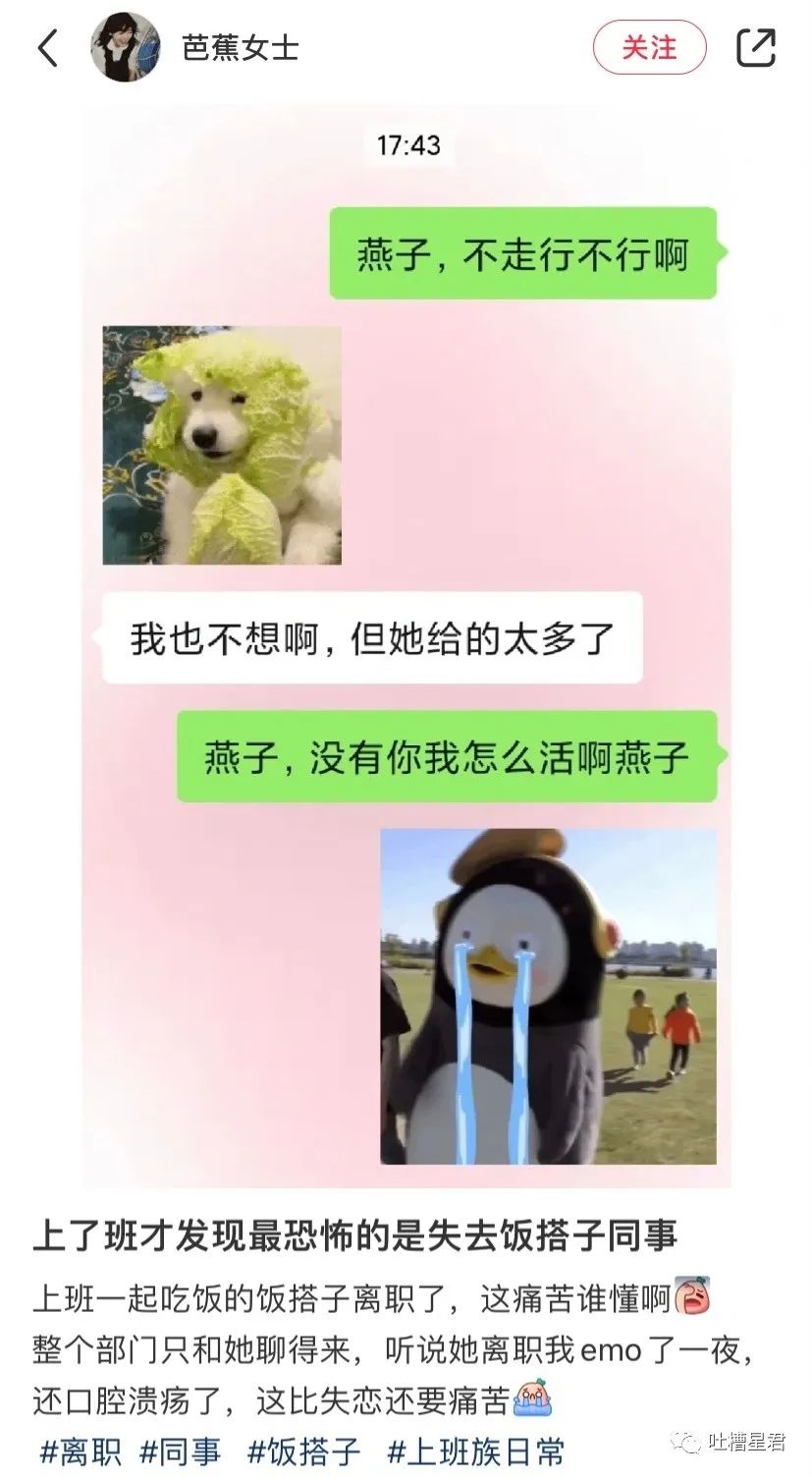 “明星高考25分是什么体验？”哈哈哈哈网友吐槽笑的我想死！！休闲区蓝鸢梦想 - Www.slyday.coM