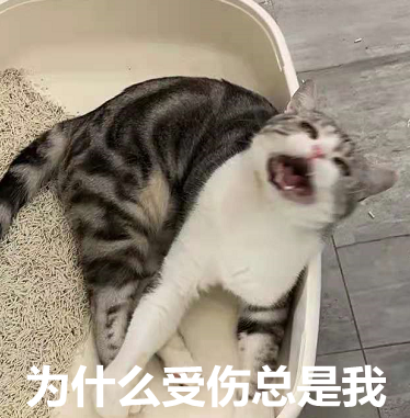 厦门警方紧急提醒：收到这种短信，别点！！休闲区蓝鸢梦想 - Www.slyday.coM