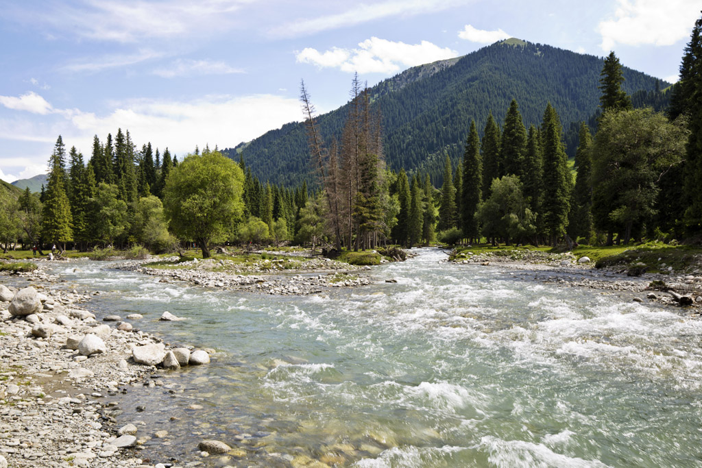 山水相依,草场肥沃,北疆最原生态的草原之一,有个原生态的村落