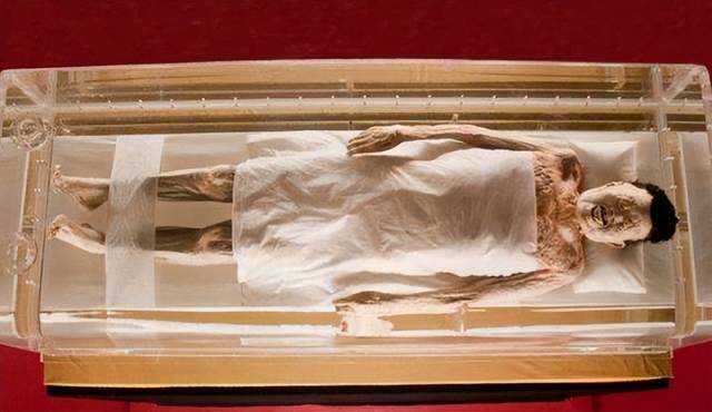 博物馆|反帝|许瑞凤_新浪新闻