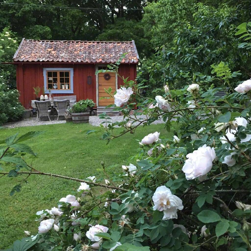 这样的田园小院你可喜欢