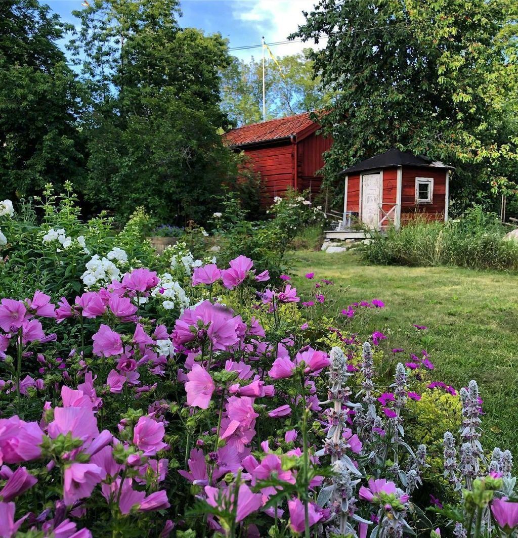 这样的田园小院你可喜欢