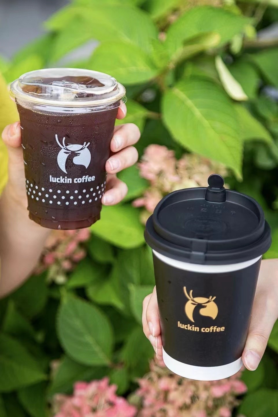 瑞幸soe云南普洱甄选本土精品咖啡精致风味注入口口惊喜