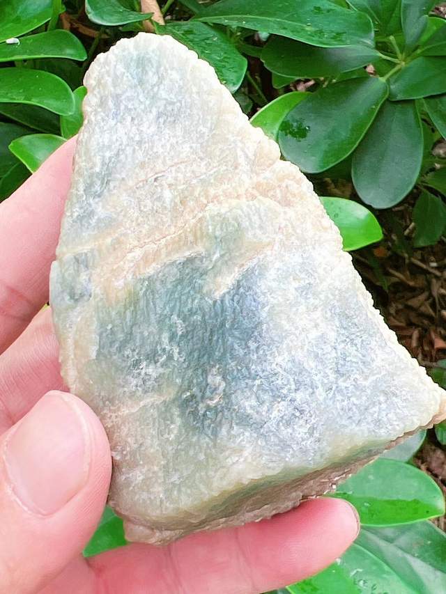 哪些色带和脱沙不能玩?种水到底如何区分?这里有你想要的答案!休闲区蓝鸢梦想 - Www.slyday.coM 哪些色带和脱沙不能玩?种水到底如何区分?这里有你想要的答案!休闲区蓝鸢梦想 - Www.slyday.coM