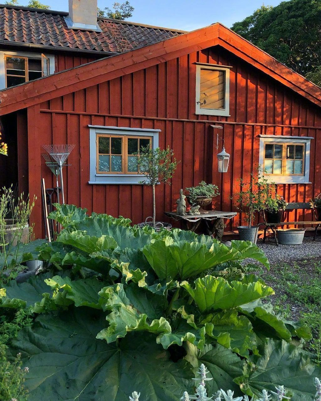 这样的田园小院你可喜欢